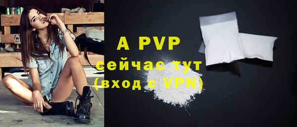гашик Заволжье