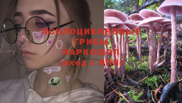 гашик Заволжье