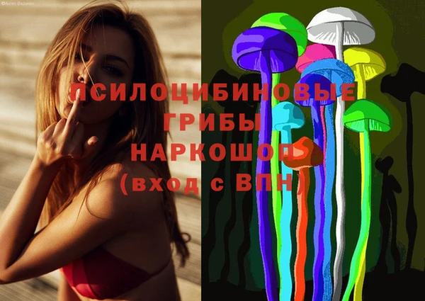 мдпв Заводоуковск