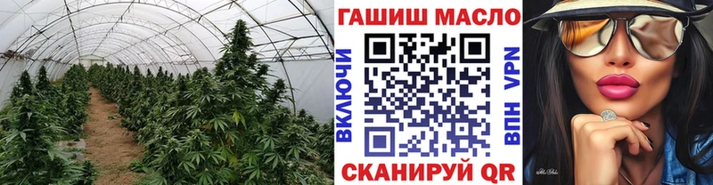 Купить закладки  Венёв  Дистиллят ТГК жижа 