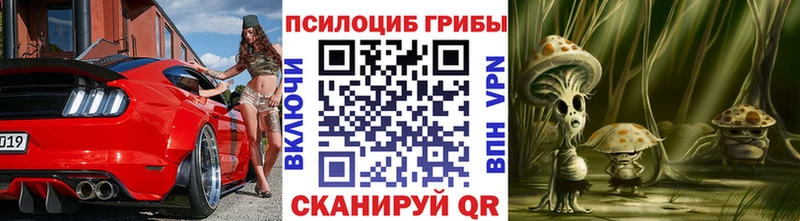 Купить где  Венёв  Галлюциногенные грибы Cubensis 